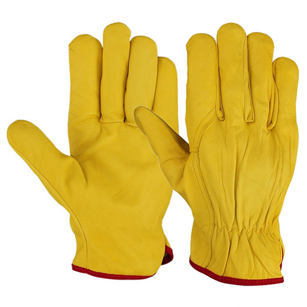 Driving Gloves